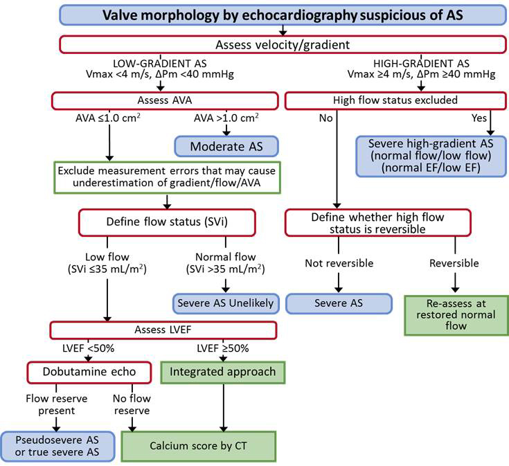 low-flow-low-gradient-aortic-stenosis-review-lynnette-knott